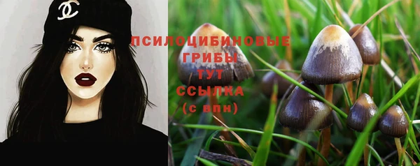 jwh Медвежьегорск