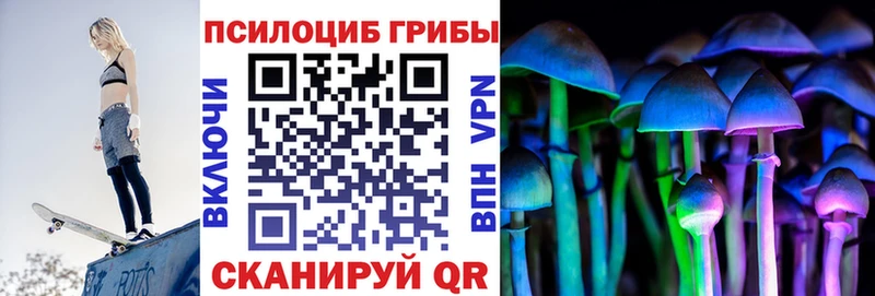 Галлюциногенные грибы мицелий Санкт-Петербург