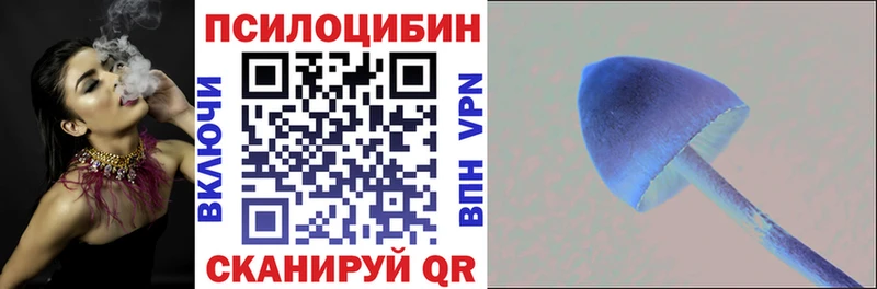 Галлюциногенные грибы Psilocybe  Санкт-Петербург 
